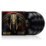 Neon Heat Disease Live (Black)