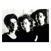 Loveblows & Lovecries (30th Anniversary) (Teal)