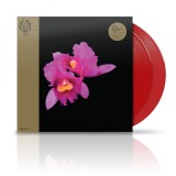 Orchid (Translucent red)