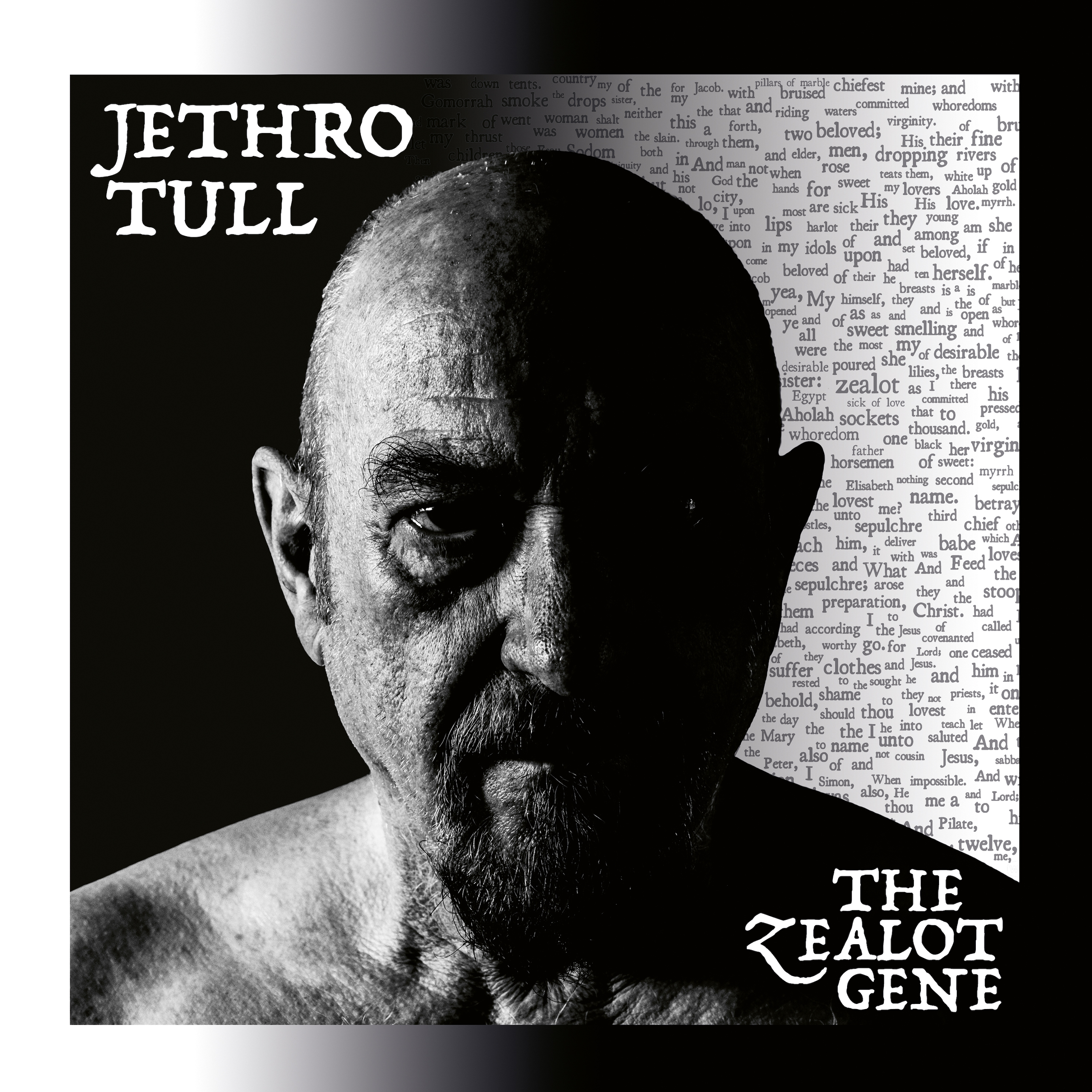 jethro-tull_the-zealot-gene_cd_2.jpg